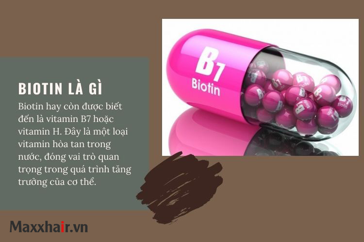 Biotin là gì? 1