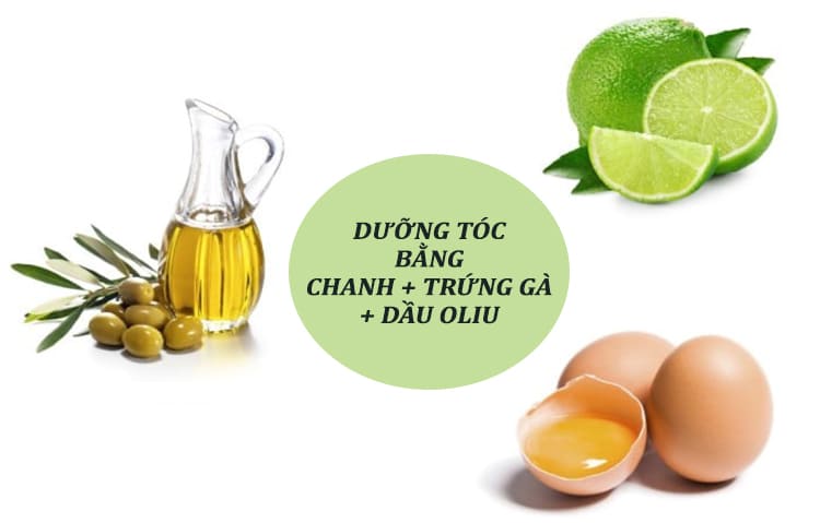 Hỗn hợp chanh, trứng gà và dầu oliu trị tóc chẻ ngọn