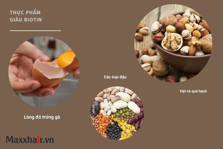 Bổ sung Biotin cho tóc qua thực phẩm hàng ngày