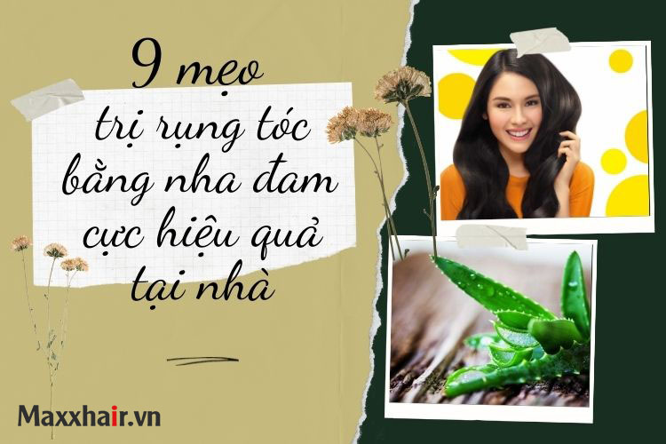 9 mẹo trị rụng tóc bằng nha đam cực kì hiệu quả tại nhà