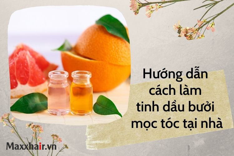 Hướng dẫn cách làm tinh dầu bưởi mọc tóc đơn giản nhất tại nhà