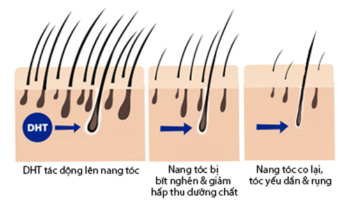 TRẢ LỜI 2