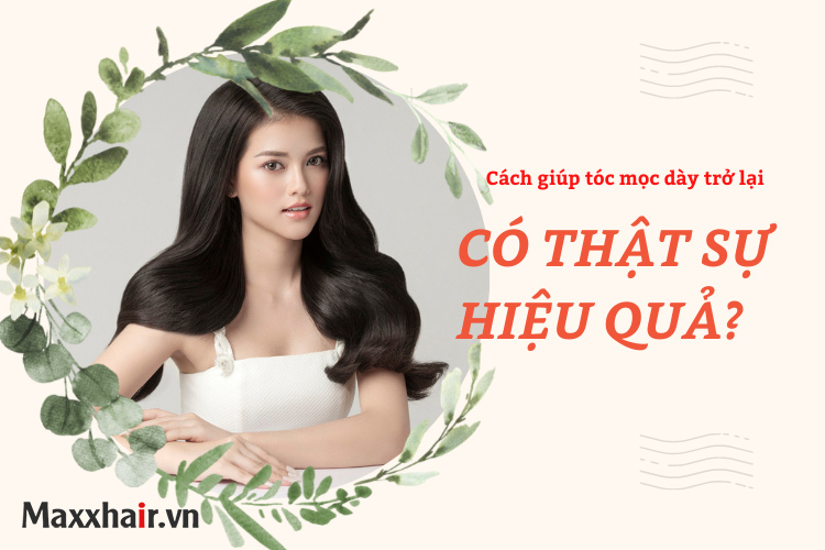 Tiết lộ 11 cách giúp tóc mọc dày trở lại (hướng dẫn chi tiết) 1