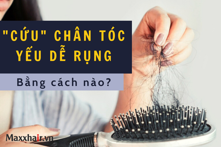 “Cứu” chân tóc yếu dễ rụng bằng cách nào? 1