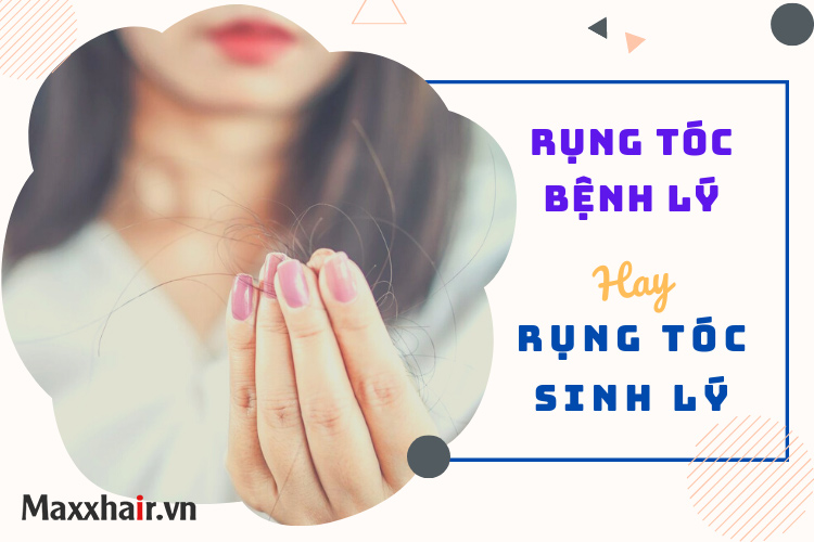 Phân biệt rụng tóc bệnh lý - rụng tóc sinh lý và cách cải thiện 1