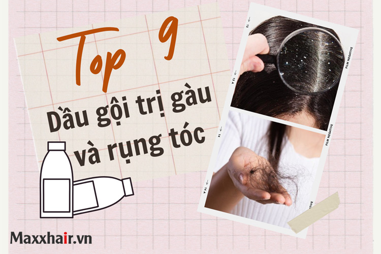 Top 9 dầu gội trị gàu và rụng tóc hiệu quả nhất hiện nay 1