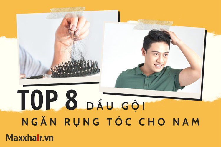 Top 8 dầu gội ngăn rụng tóc cho nam hiệu quả nhanh chóng