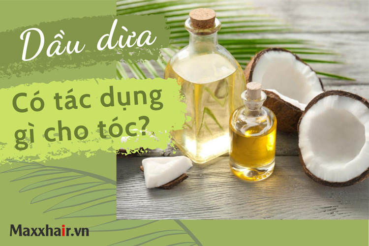 4 công thức làm tóc nhanh dài bằng dầu dừa 1