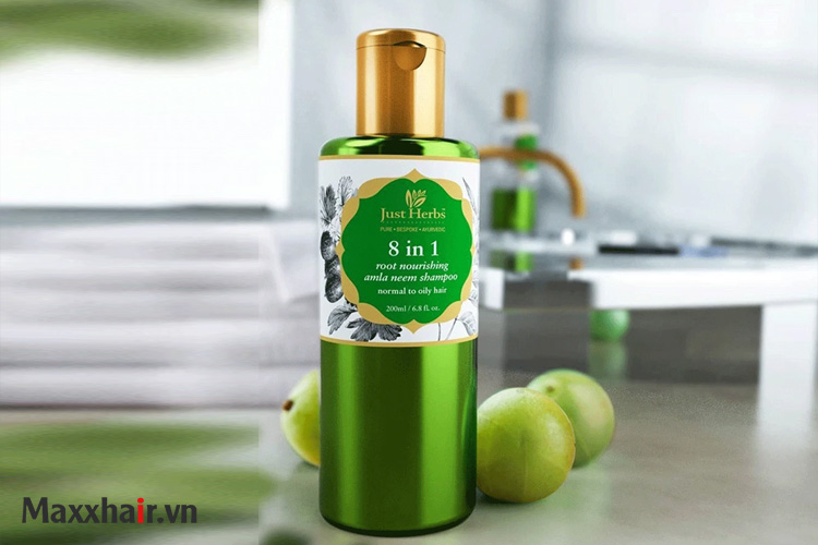 1. Dầu gội thảo dược 8 in 1 Root Nourishing Amla Henna 1