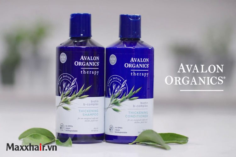 8. Dầu gội thảo dược Avalon Organics Biotin-B Complex Thickening 1