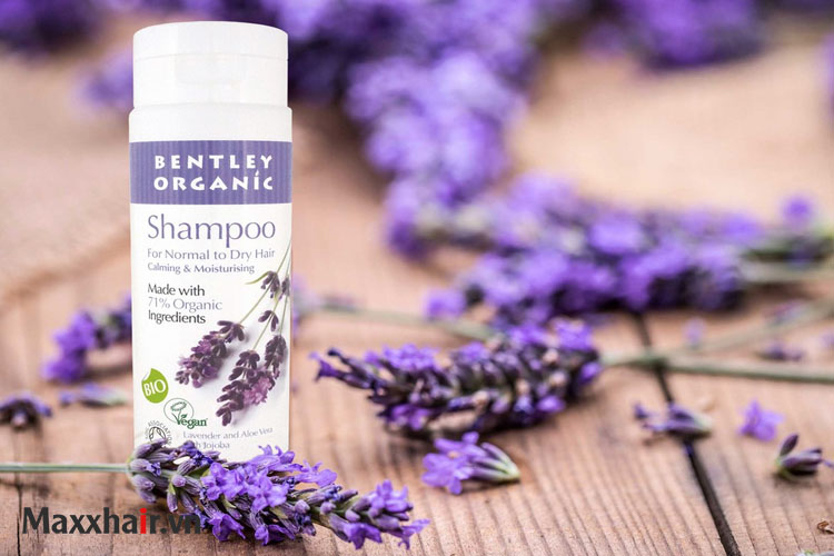 9. Dầu gội hữu cơ Bentley Organic 1