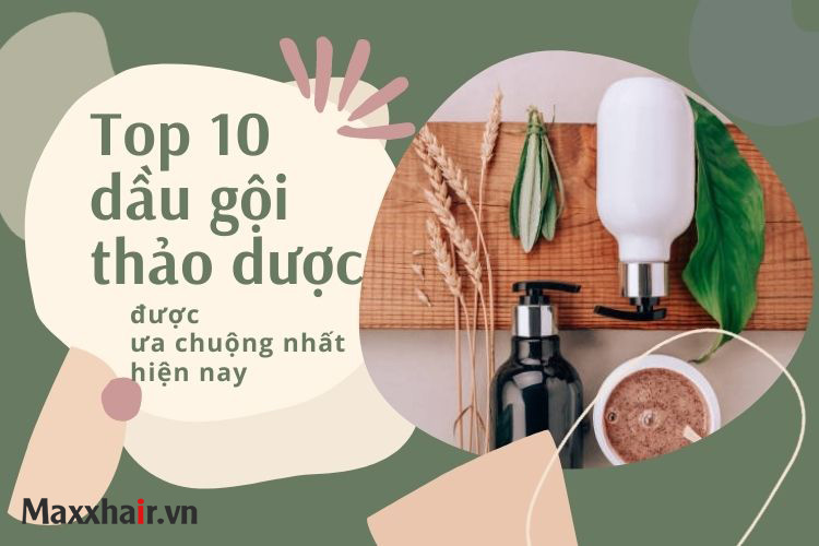 10 loại dầu gội thảo dược trị rụng tóc chất lượng