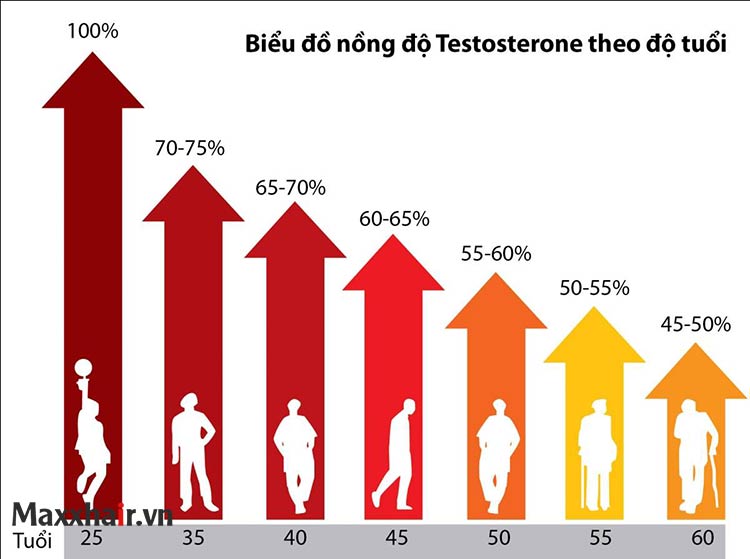 Do lão hóa, tuổi tác 1