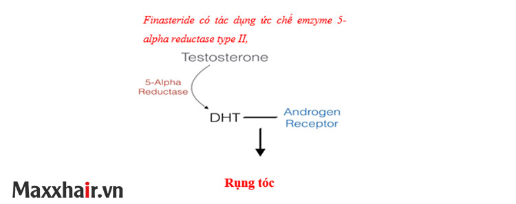 Điều trị bằng thuốc 1