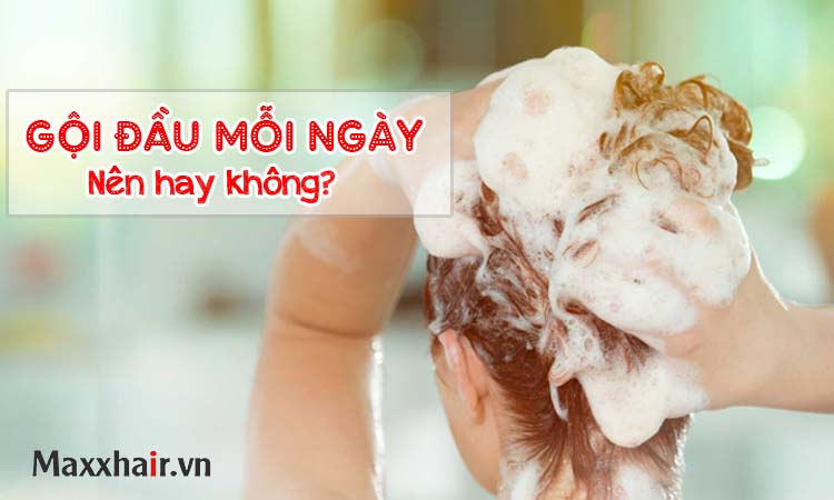 Gội đầu nhiều có sao không? Click để xem câu trả lời!