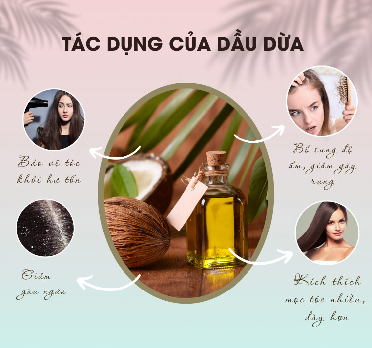 Tác dụng tuyệt vời của dầu dừa với tóc