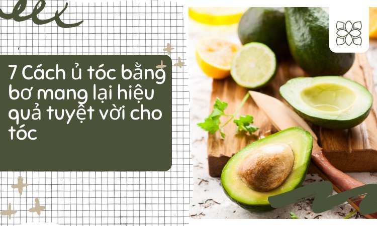 7 cách dùng bơ ủ tóc mang lại hiệu quả tuyệt vời cho tóc 